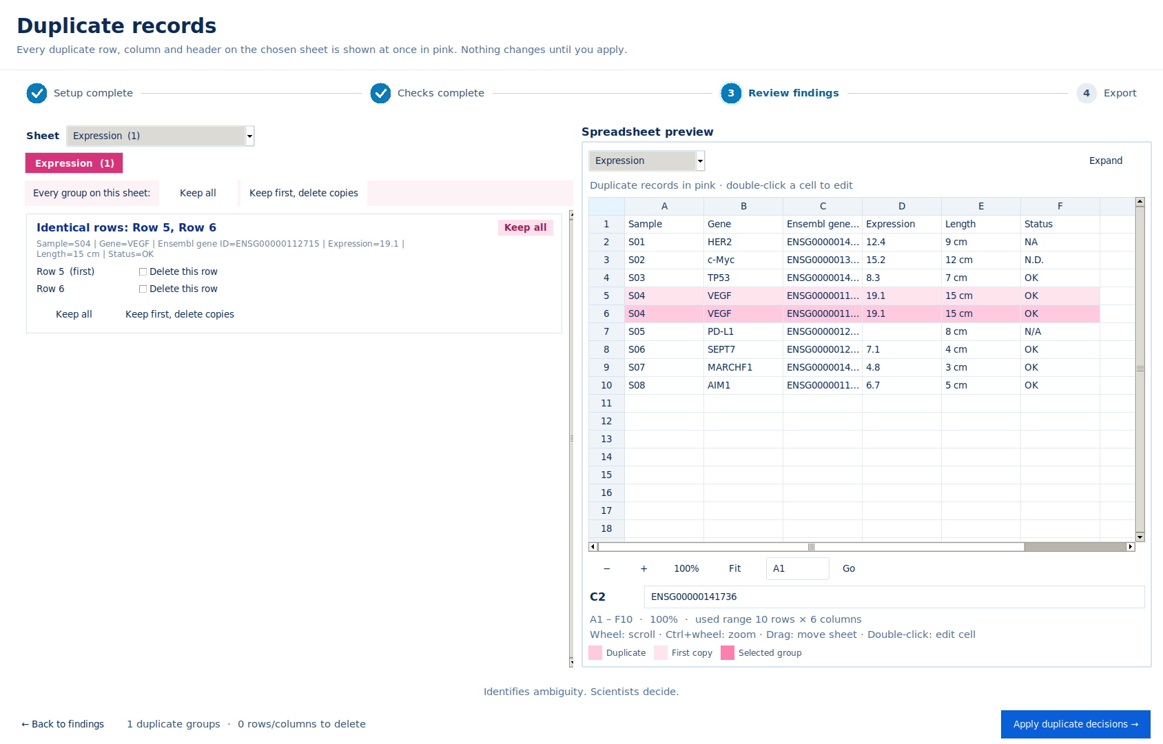 Duplicate records review listing an identical row pair with keep all or keep first options.